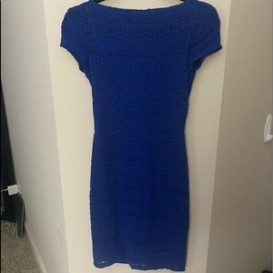 Blue Lace Fitted Dress